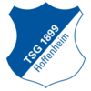 TSG Hoffenheim-logo