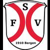 FSV 1910 Bergen II