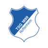 Hoffenheim-logo